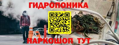 тгк Шебекино