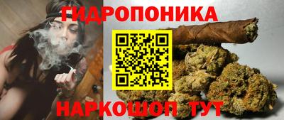 тгк Шебекино